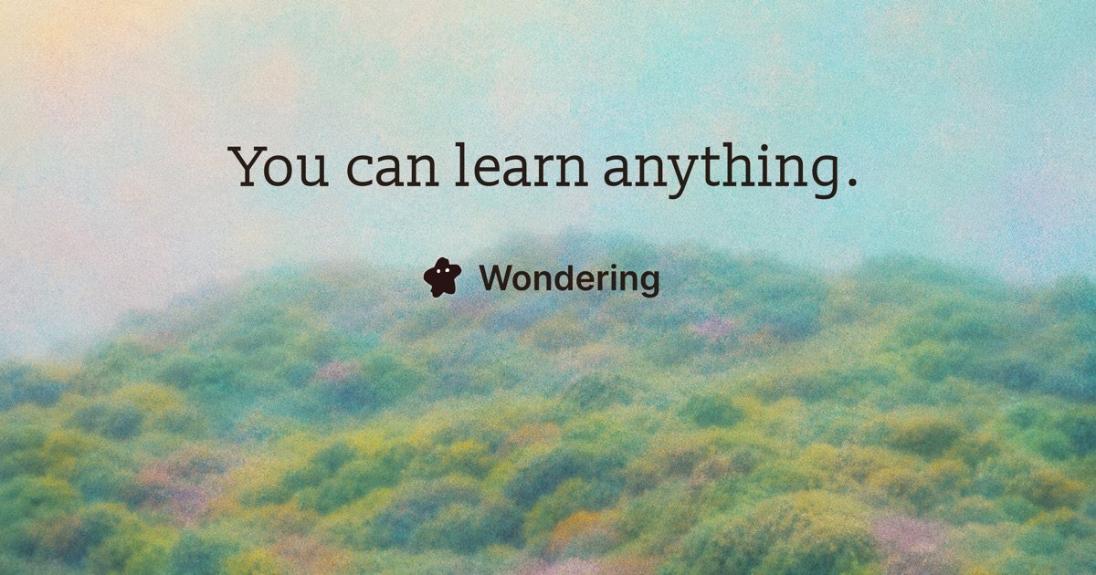 Wondering